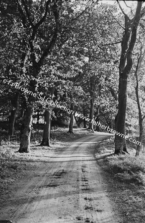 AVENUE AT QUARRY HILL